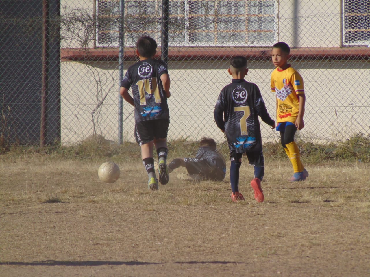 Imagen 2
